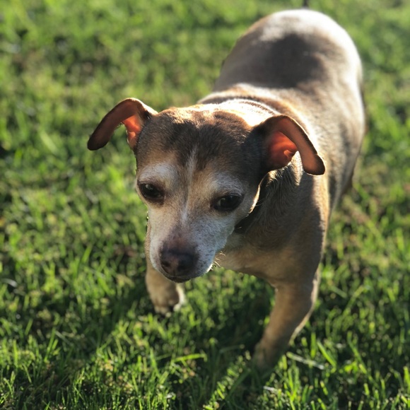 Meet your Posher, Marlo e. - Picture 2 of 3